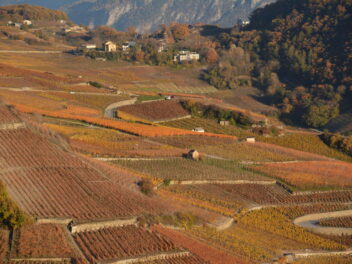 Interview d’Antonio Pinho – le domaine Tsallin