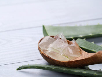 L’aloe vera et ses nombreuses utilisations peuvent être utilisées pour soigner votre peau pendant l’été !