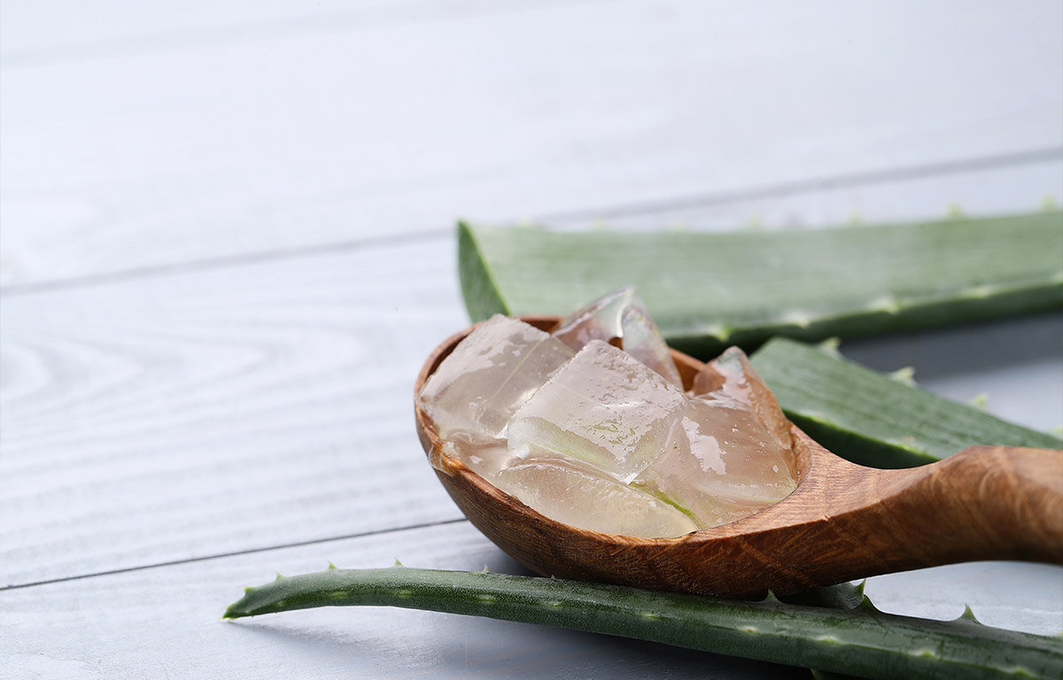 L’aloe vera et ses nombreuses utilisations peuvent être utilisées pour soigner votre peau pendant l’été !
