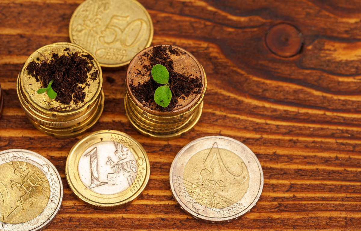 5 plantes qui améliorent la prospérité de votre propriété. Il est temps de les avoir.