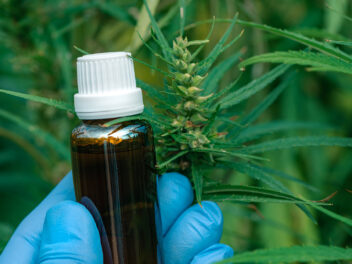 Les 7 infos à connaitre sur le CBD avant d’en acheter.