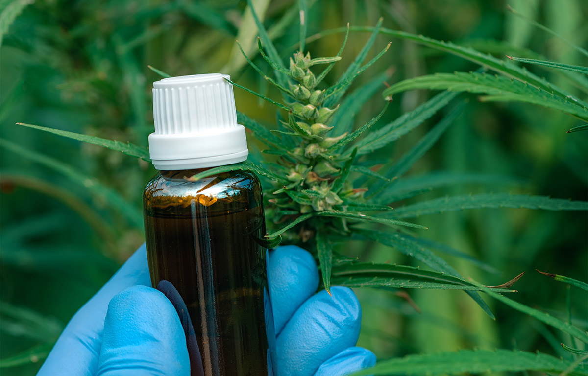 Les 7 infos à connaitre sur le CBD avant d’en acheter.