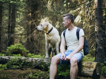 Si vous avez un animal de compagnie, comment partir en vacances ?