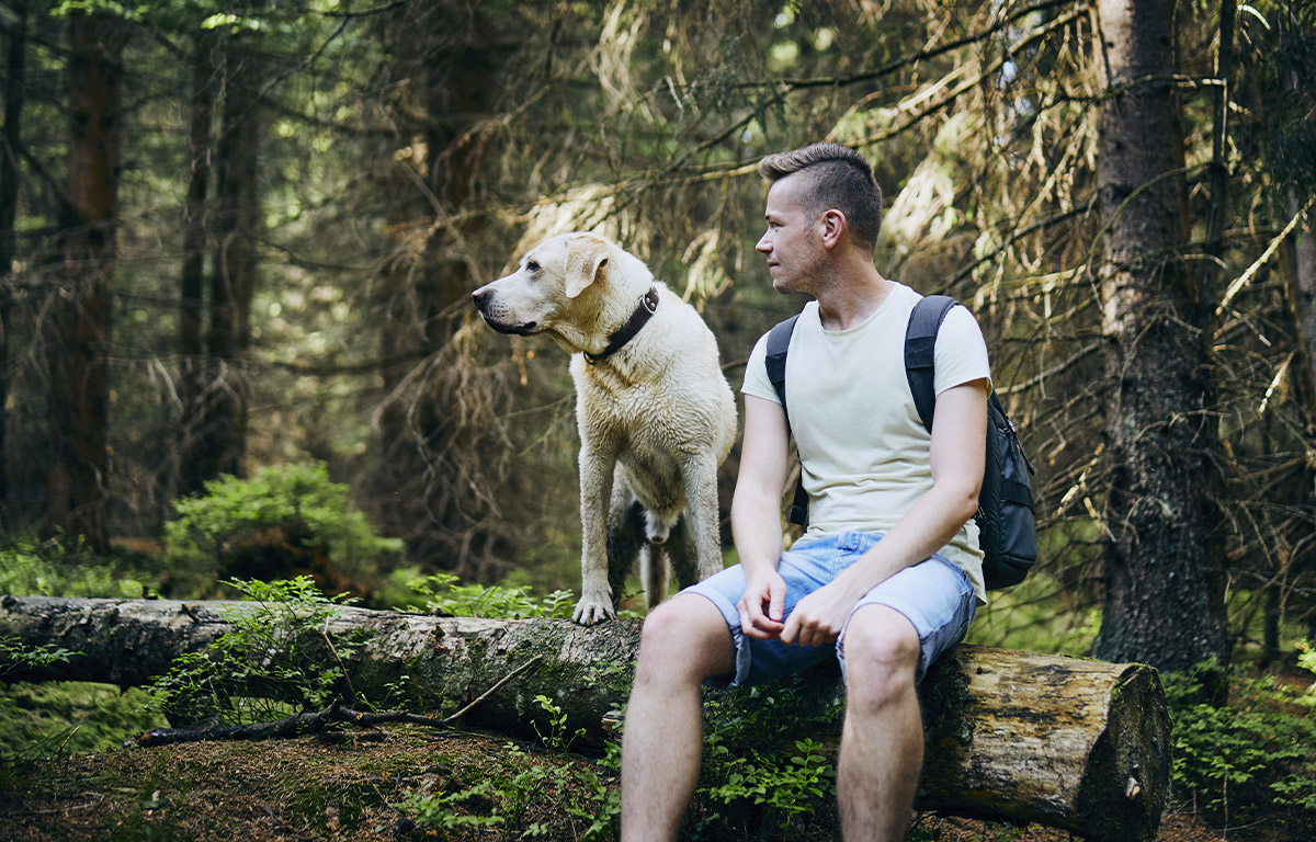 Si vous avez un animal de compagnie, comment partir en vacances ?
