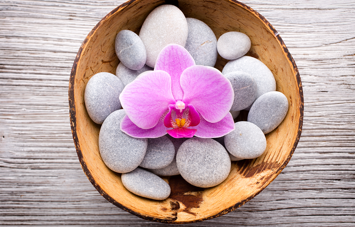 En arrosant quotidiennement vos orchidées avec ce produit, elles auront plus de fleurs.