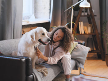 Quels sont les premiers signes de stress chez les animaux de compagnie ?