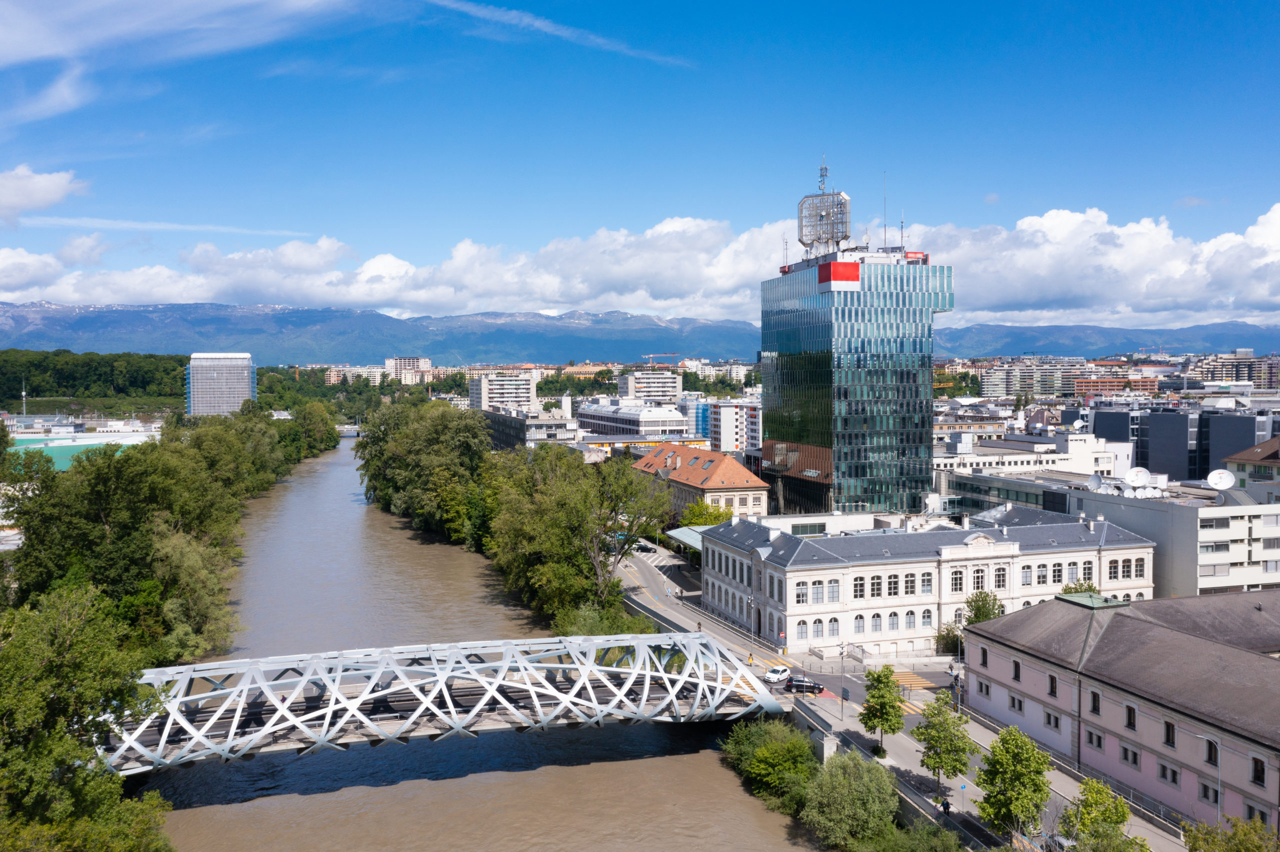 Genève Face à une Menace Croissante : L’Invasion des Punaises de Lit et Comment Agir Rapidement